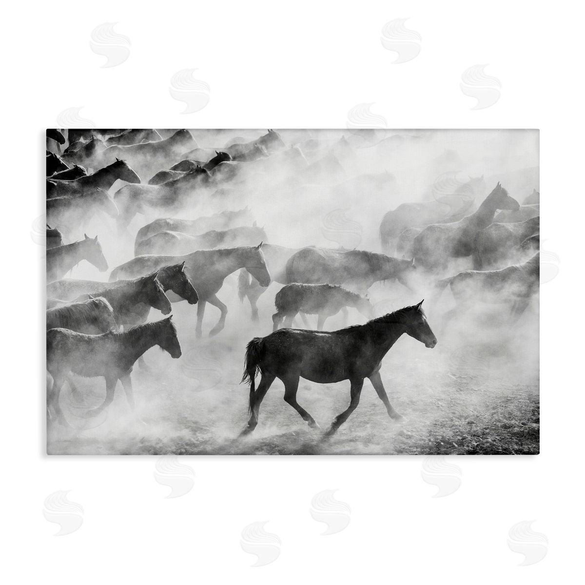 Sisi and Seb Dusty Road Horse Photograph Canvas Wall Art Print