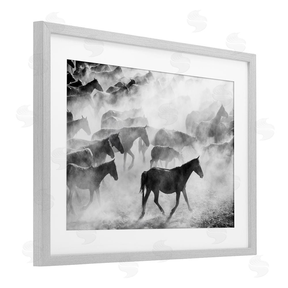 Sisi and Seb Dusty Road Horse Photograph Gray Framed Print Under Glass with White Mat Wall Art