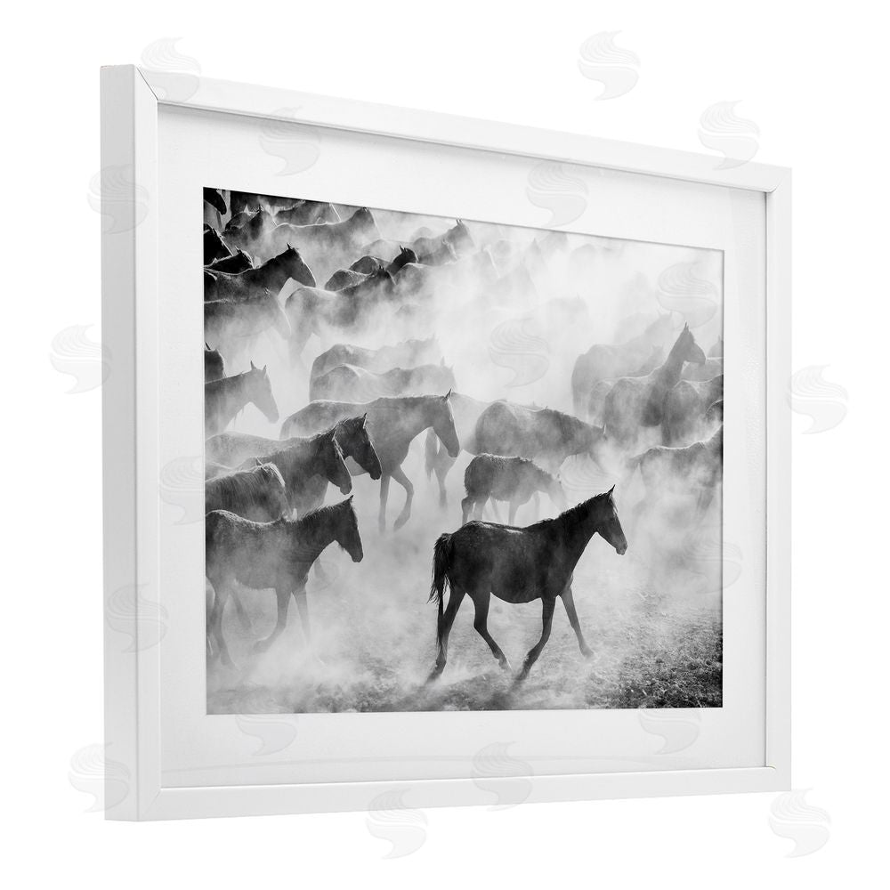 Sisi and Seb Dusty Road Horse Photograph White Framed Print Under Glass with Mat Wall Art