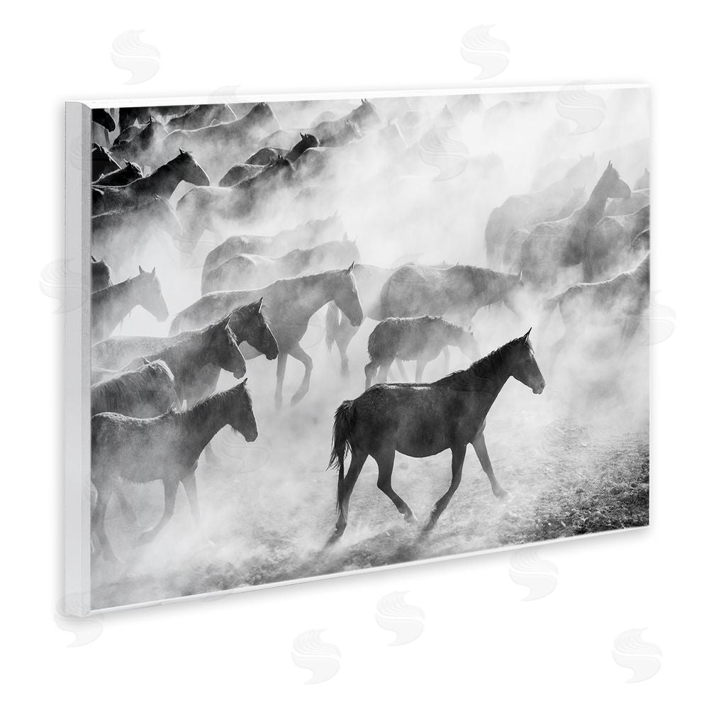 Sisi and Seb Dusty Road Horse Photograph Wall Plaque Art Print