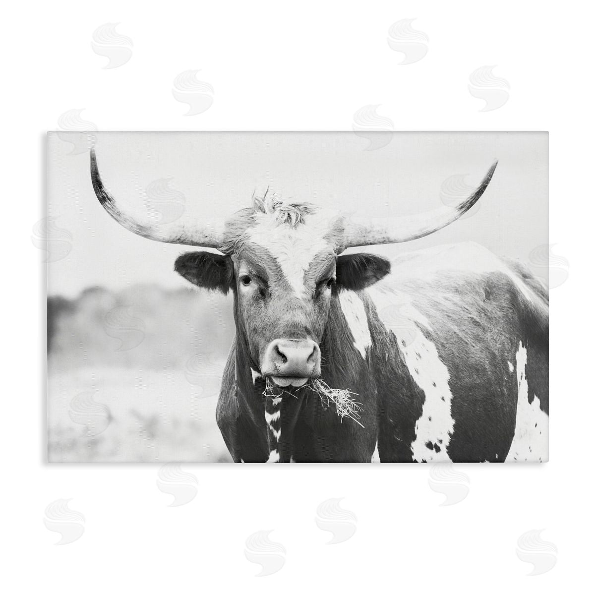 Sisi and Seb Two Tone Longhorn Portrait Canvas Wall Art Print