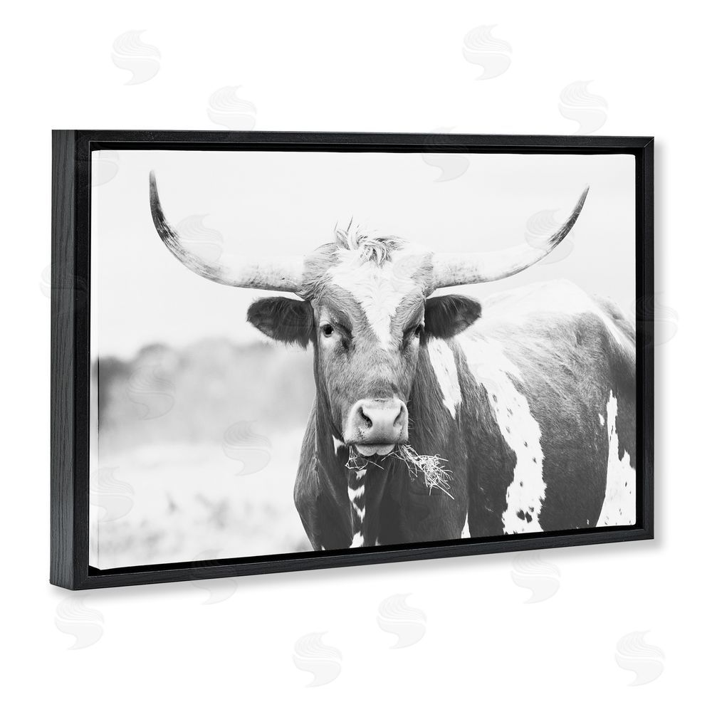 Sisi and Seb Two Tone Longhorn Portrait Black Floating Frame Canvas Wall Art Print
