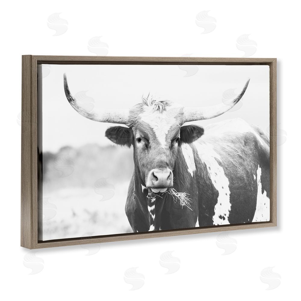 Sisi and Seb Two Tone Longhorn Portrait Brown Floating Frame Canvas Wall Art Print