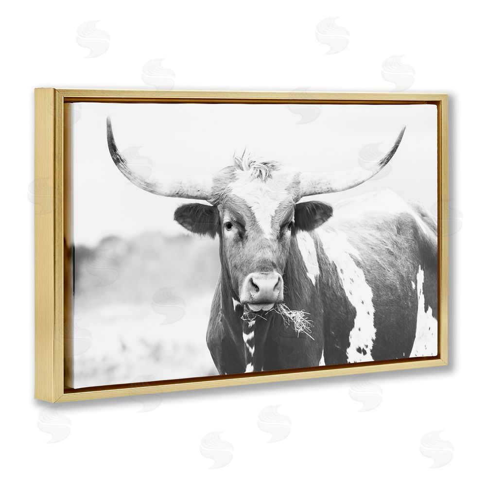 Sisi and Seb Two Tone Longhorn Portrait Gold Floating Frame Canvas Wall Art Print