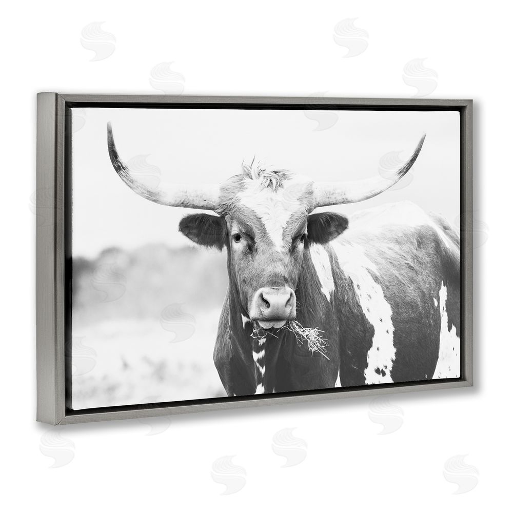 Sisi and Seb Two Tone Longhorn Portrait Gray Floating Frame Canvas Wall Art Print
