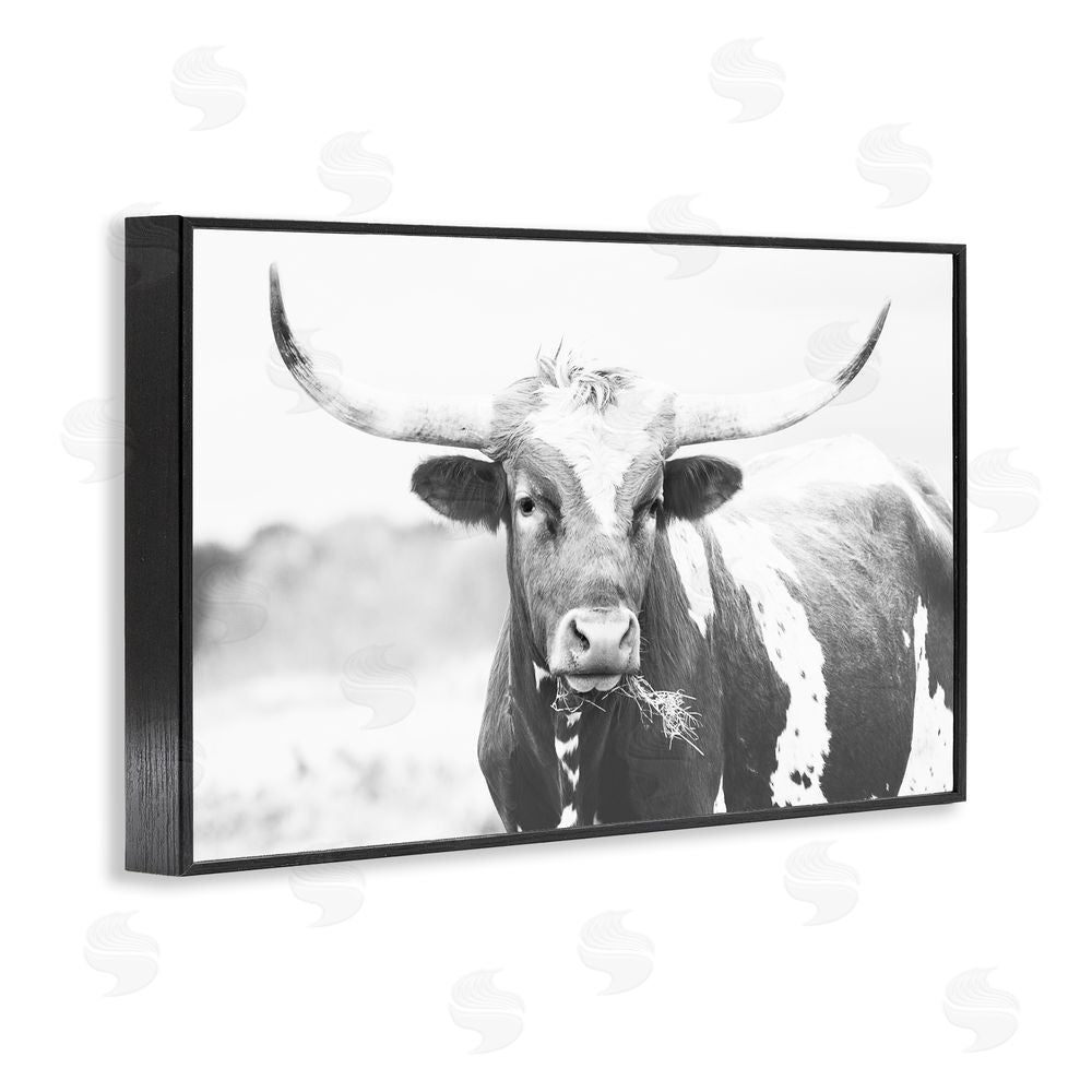 Sisi and Seb Two Tone Longhorn Portrait Black Framed Giclee Wall Art Print