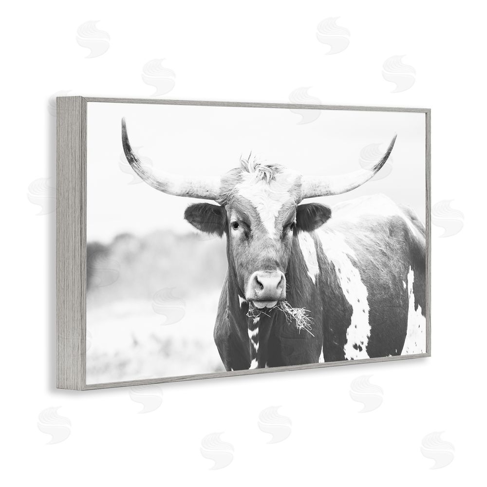 Sisi and Seb Two Tone Longhorn Portrait Gray Framed Giclee Wall Art Print
