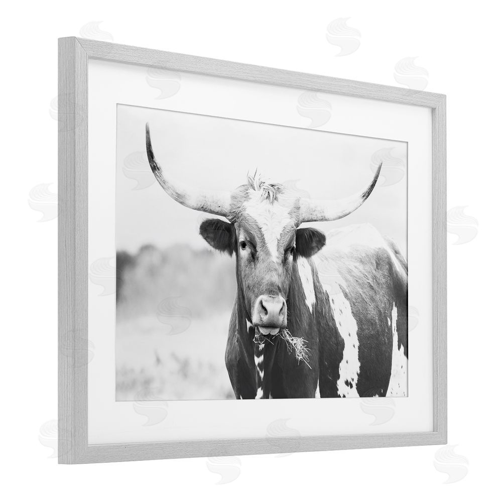 Sisi and Seb Two Tone Longhorn Portrait Gray Framed Print Under Glass with White Mat Wall Art