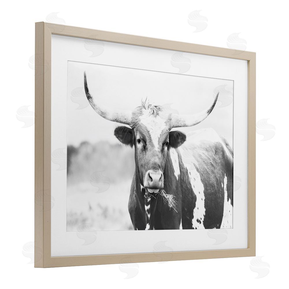 Sisi and Seb Two Tone Longhorn Portrait Birch Framed Print Under Glass with White Mat Wall Art