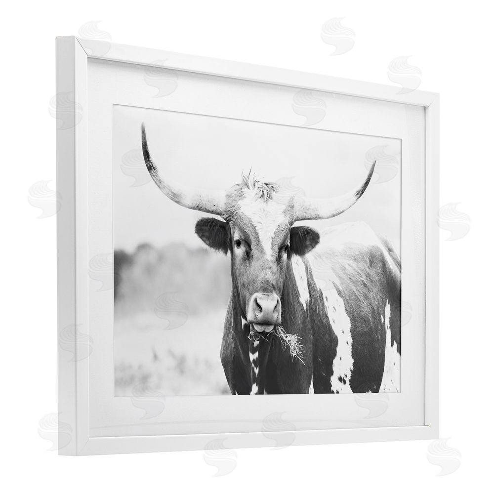 Sisi and Seb Two Tone Longhorn Portrait White Framed Print Under Glass with Mat Wall Art
