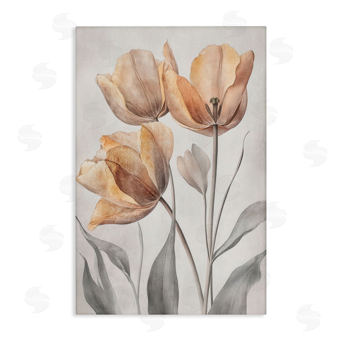 Petal Prints Design Pressed Poppies Orange Florals Canvas Wall Art Print