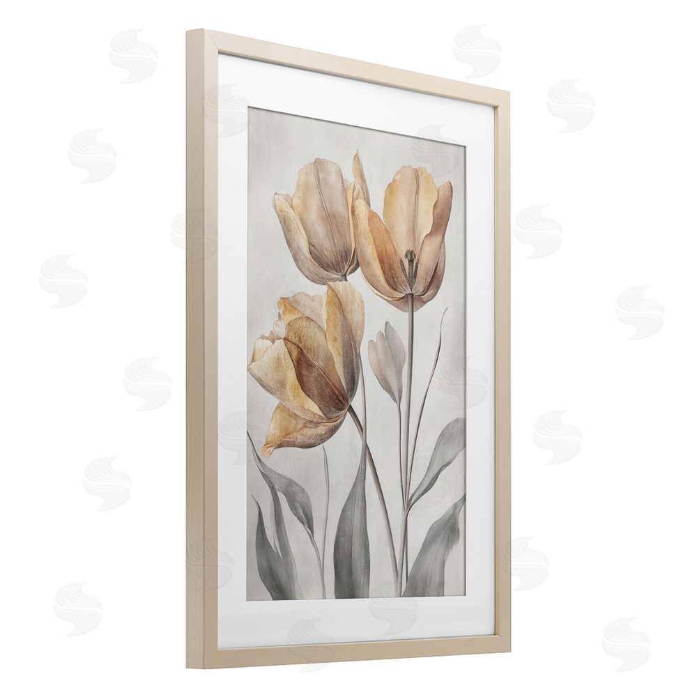 Petal Prints Design Pressed Poppies Orange Florals Birch Framed Print Under Glass with White Mat Wall Art