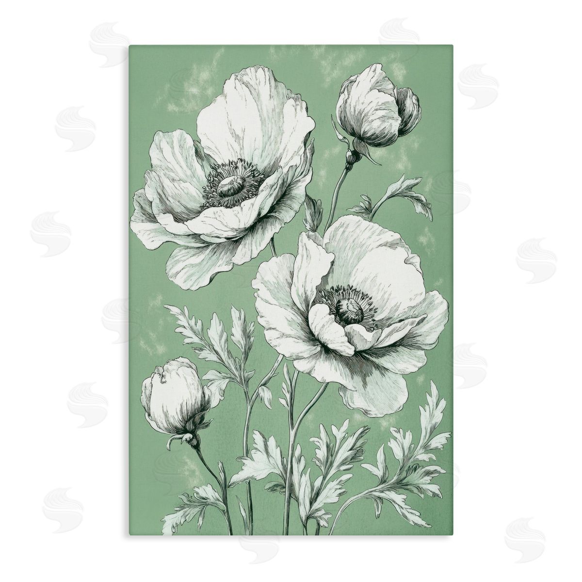Petal Prints Design Soft Green Poppy Floral Canvas Wall Art Print