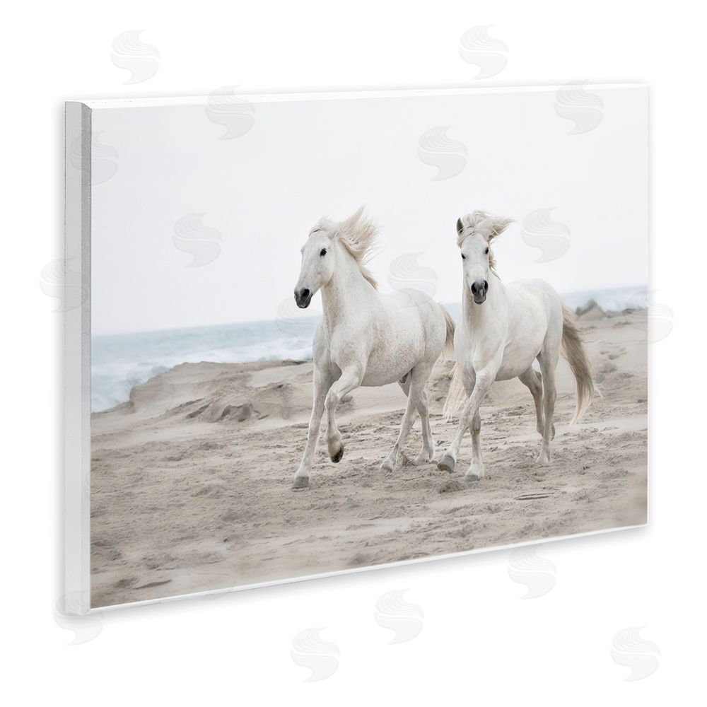 Danita Delimont Beach Running Horses Wall Plaque Art Print