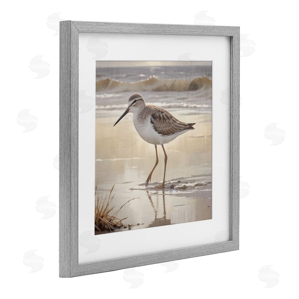 Susan Arnot Wading Beach Sandpiper Gray Framed Print Under Glass Art