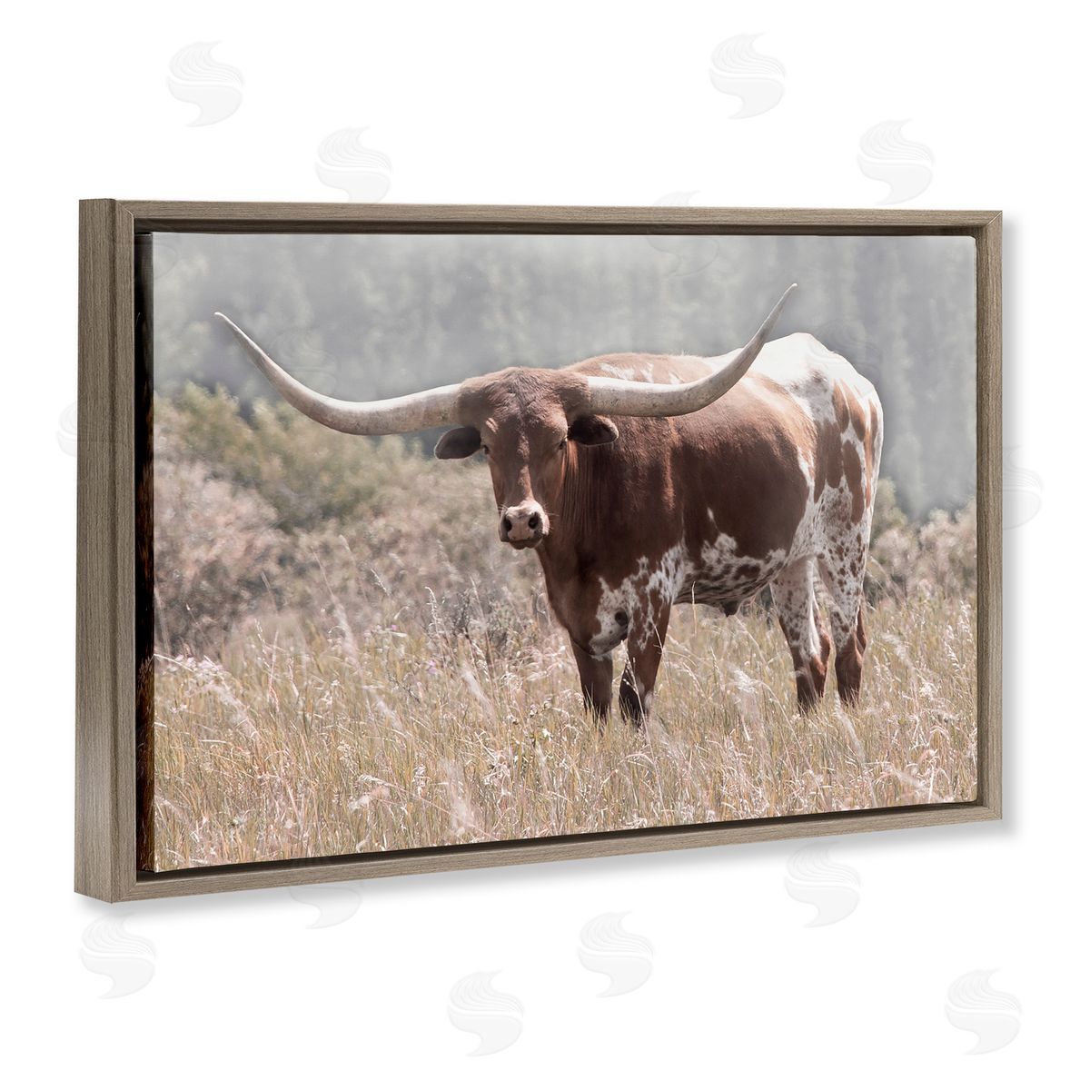 Carol Robinson Texas Longhorn Photograph Brown Floating Frame Canvas Art Print