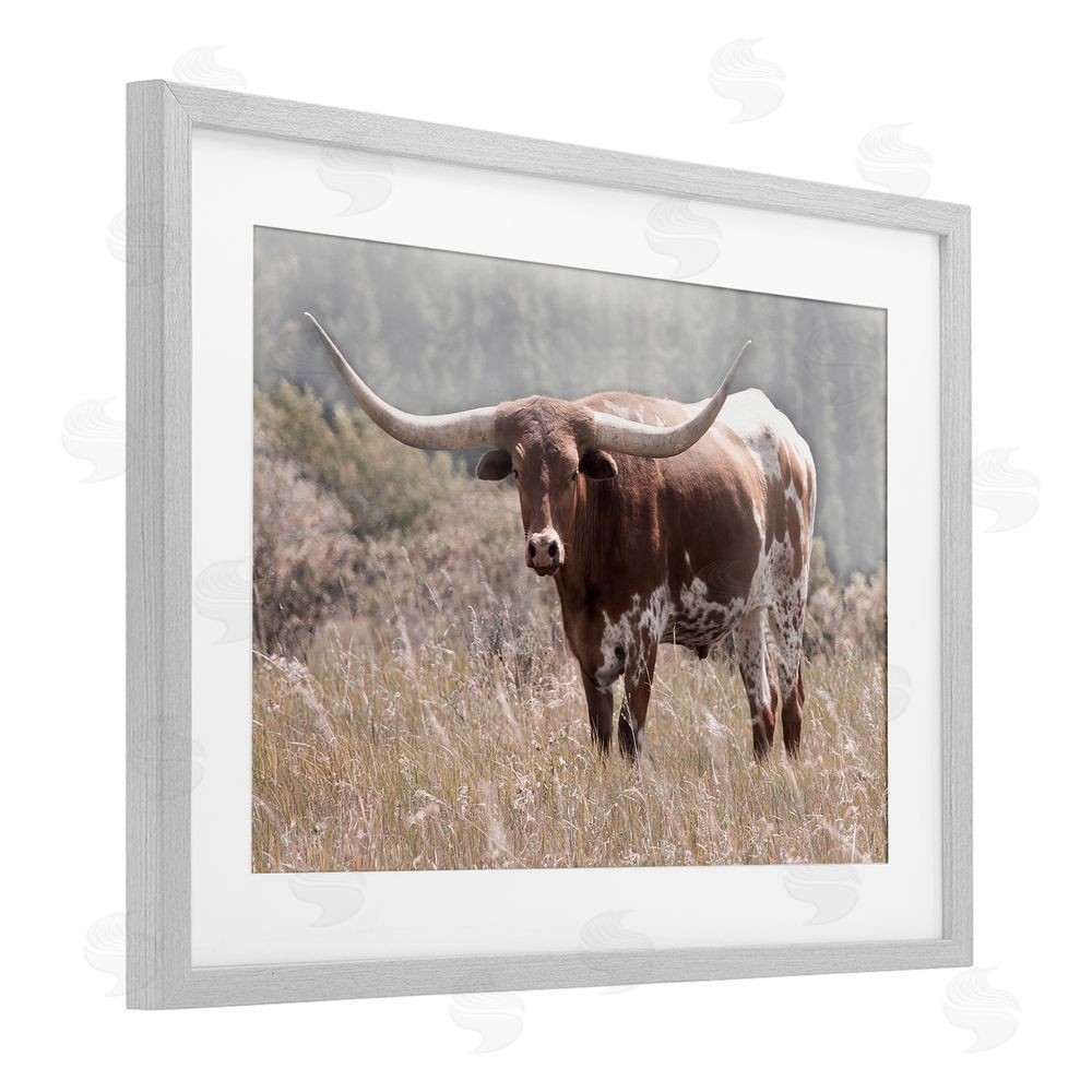 Carol Robinson Texas Longhorn Photograph Gray Framed Print Under Glass Art