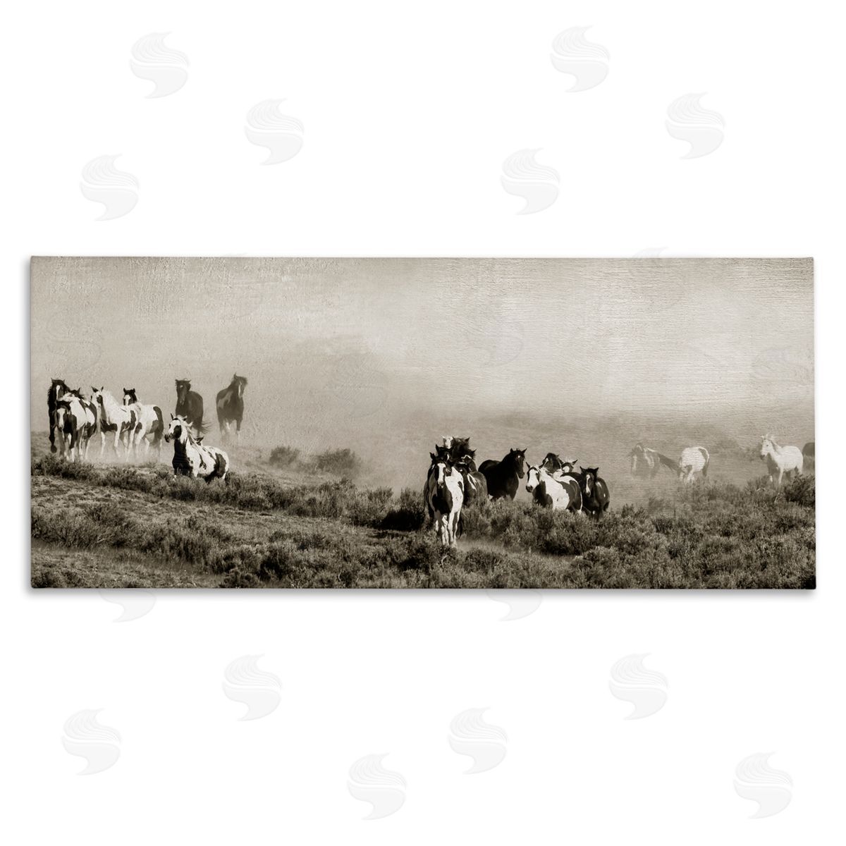 Danita Delimont Dust Up Horse Stampede Canvas Wall Art Print