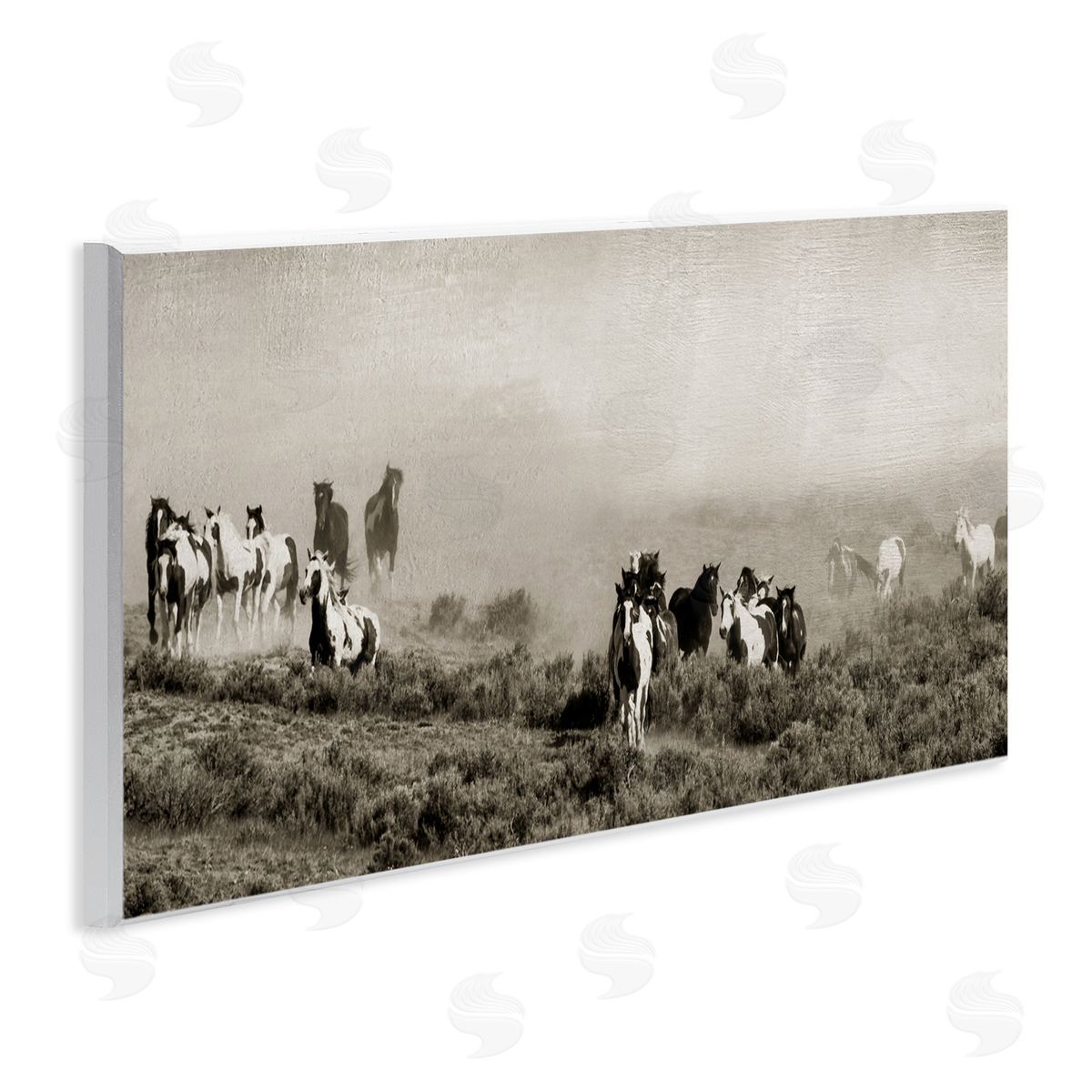 Danita Delimont Dust Up Horse Stampede Wall Plaque Art Print