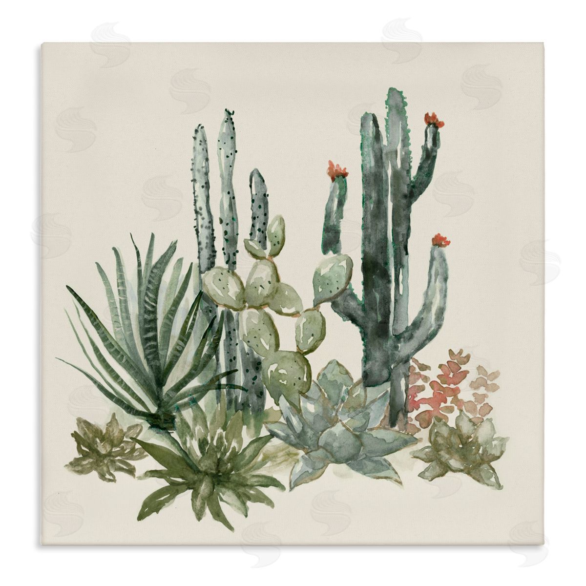 Nan Mojave Green Succulents Canvas Wall Art Print