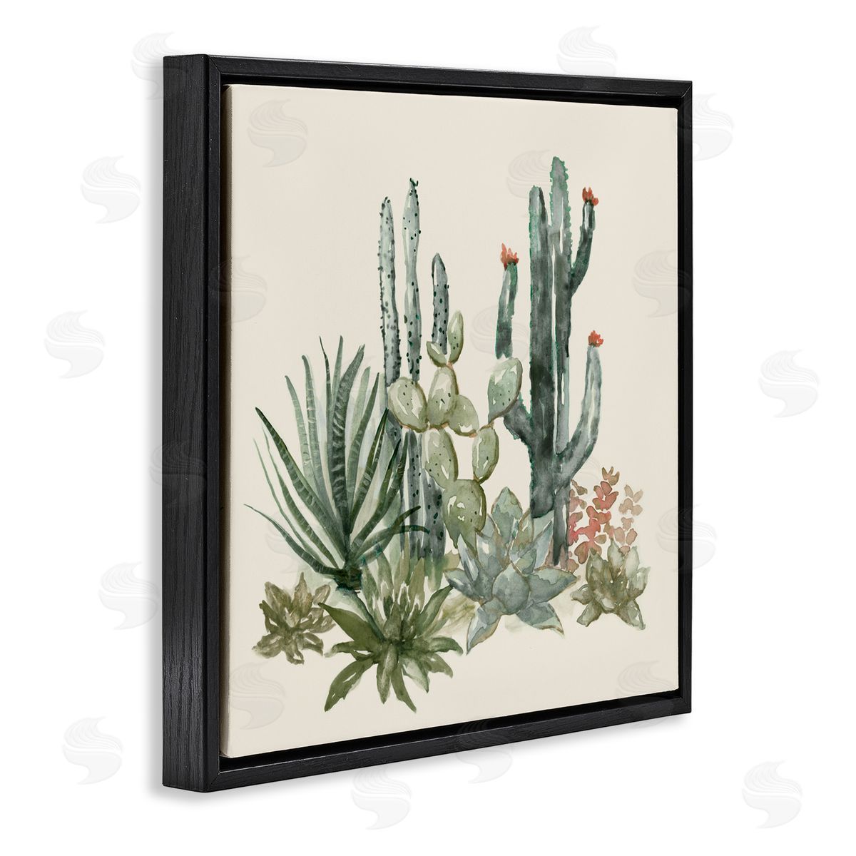 Nan Mojave Green Succulents Black Floating Frame Canvas Wall Art Print