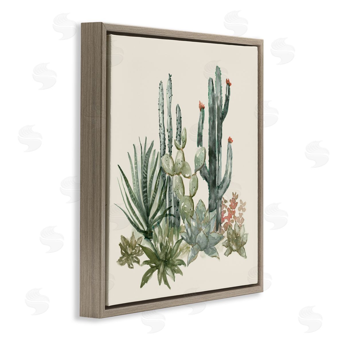 Nan Mojave Green Succulents Brown Floating Frame Canvas Art Print