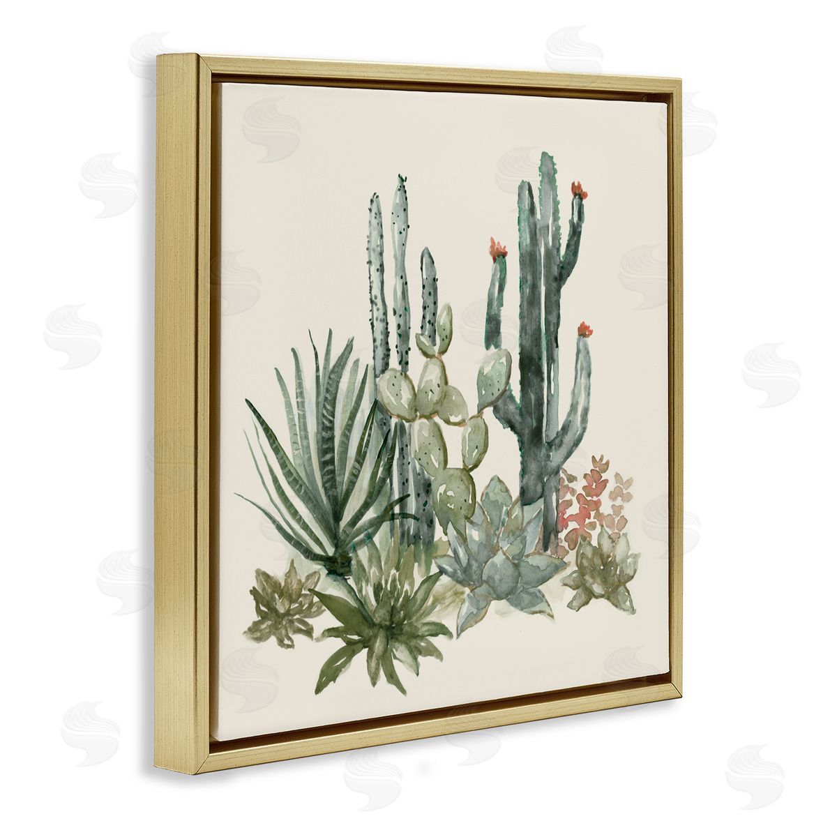 Nan Mojave Green Succulents Gold Floating Frame Canvas Art Print