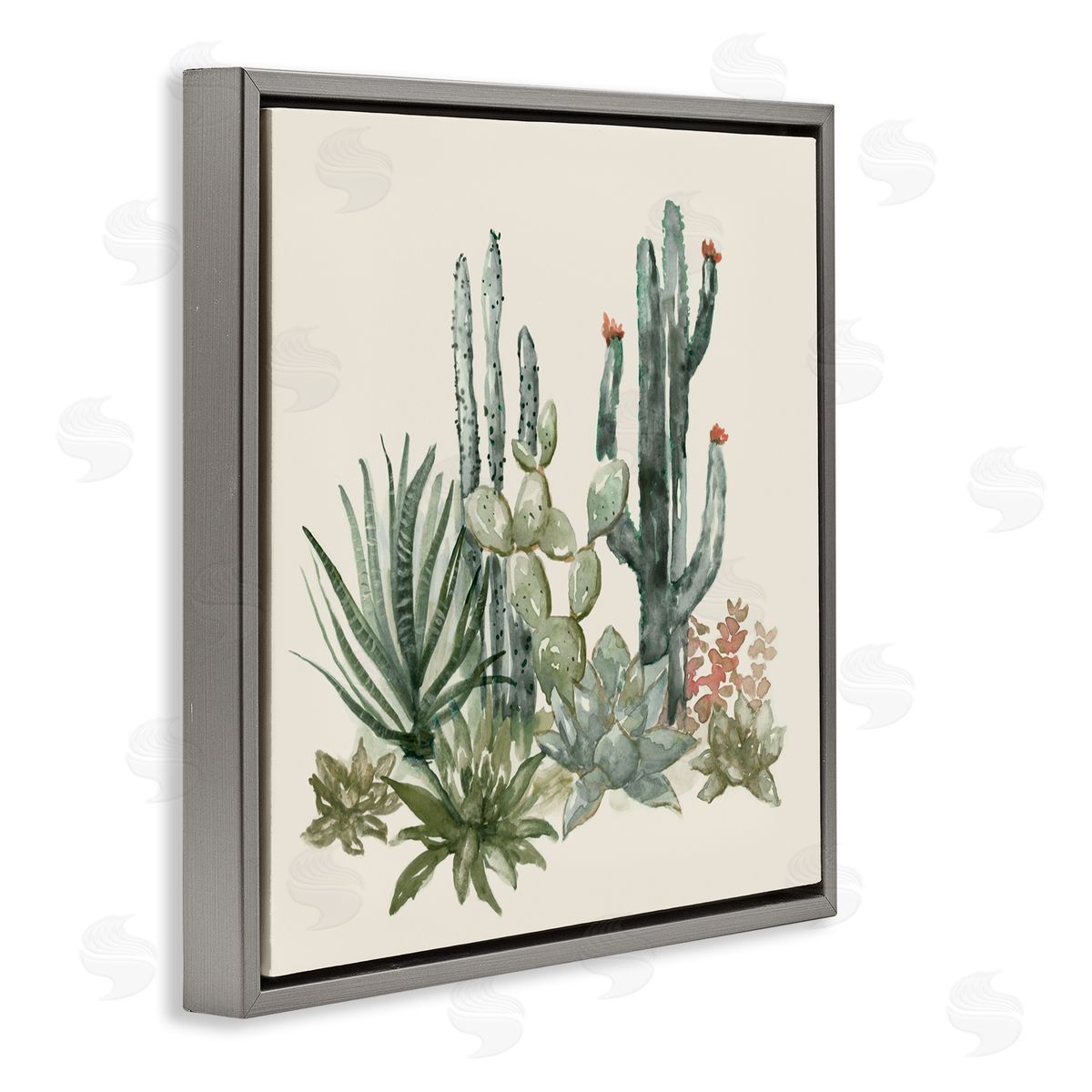 Nan Mojave Green Succulents Gray Floating Frame Canvas Art Print