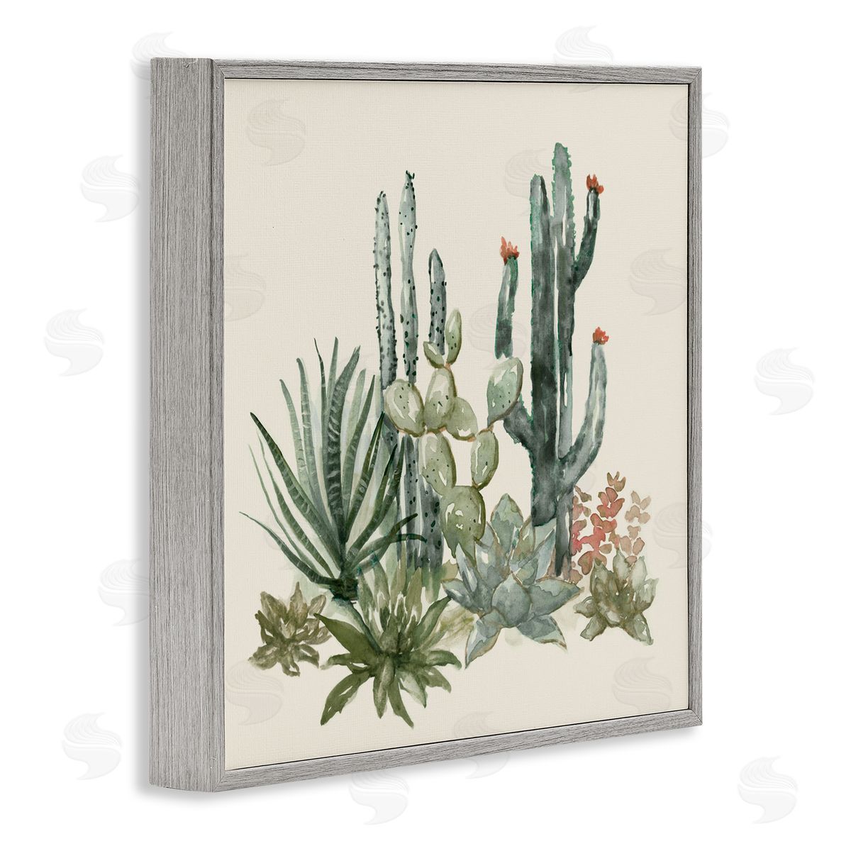 Nan Mojave Green Succulents Gray Framed Giclee Art Print