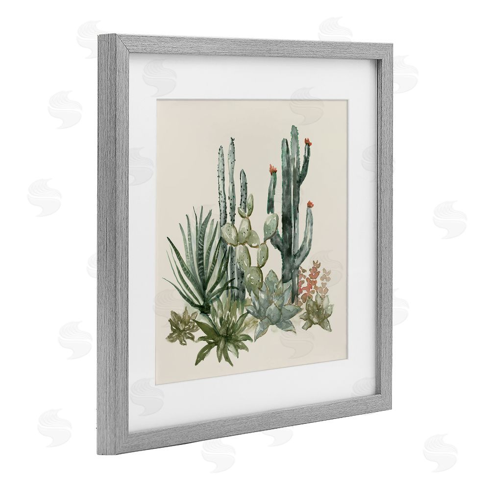 Nan Mojave Green Succulents Gray Framed Print Under Glass Art