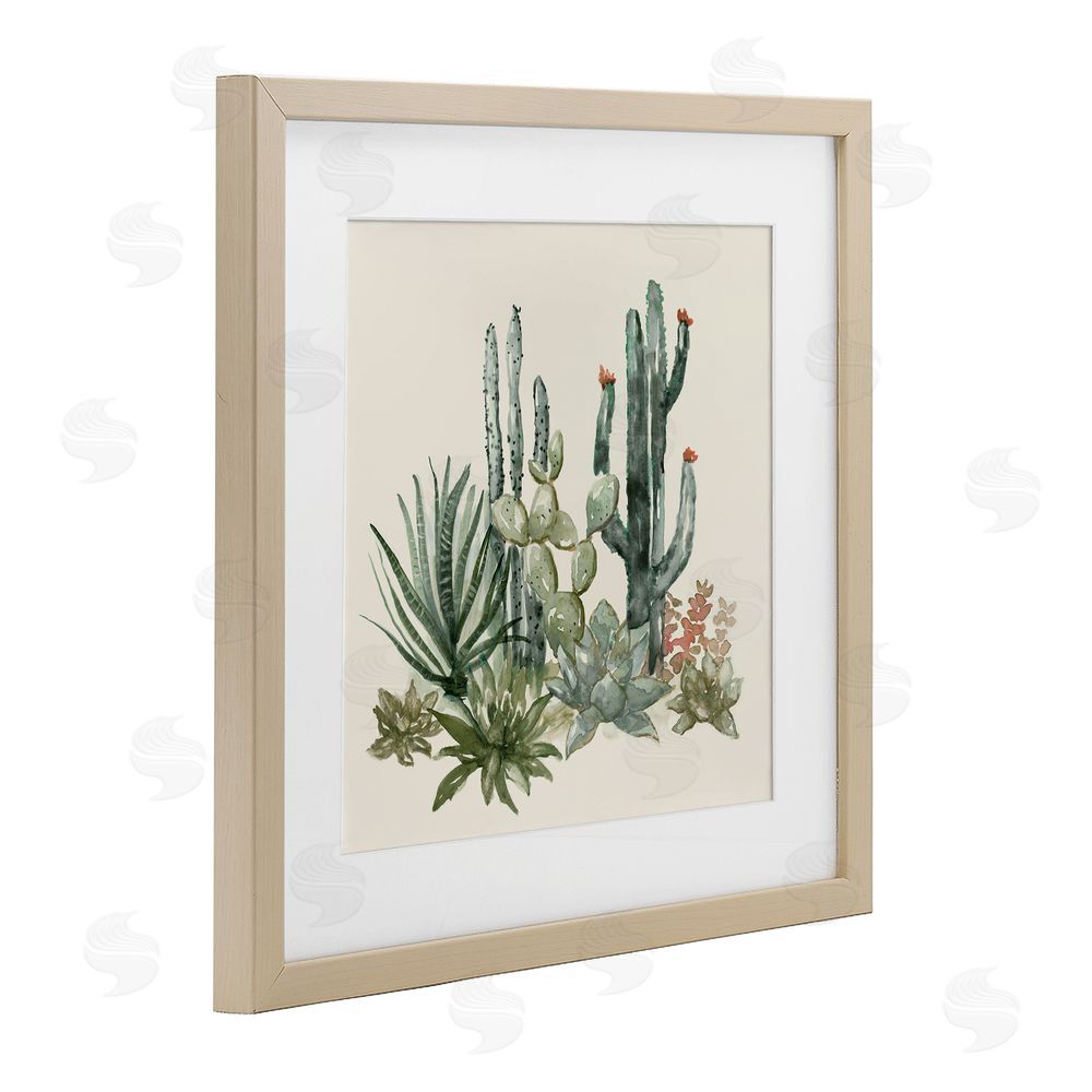 Nan Mojave Green Succulents Birch Framed Print Under Glass Art