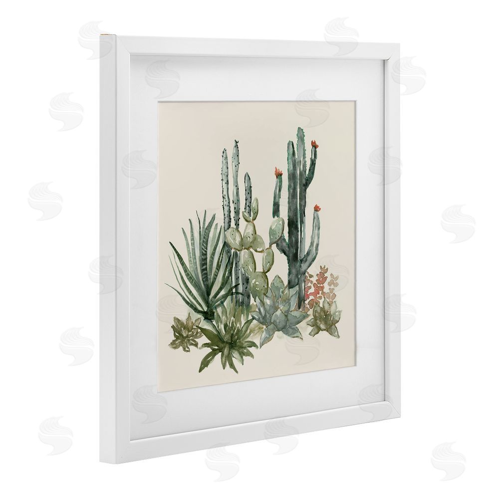 Nan Mojave Green Succulents White Framed Print Under Glass Art
