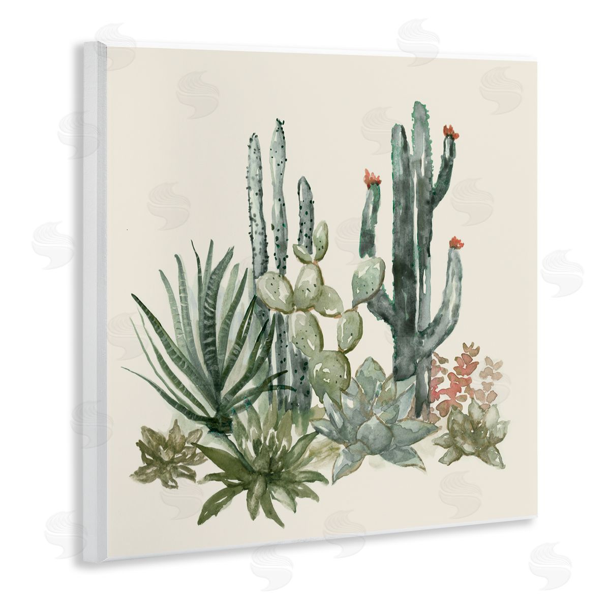 Nan Mojave Green Succulents Wall Plaque Art Print