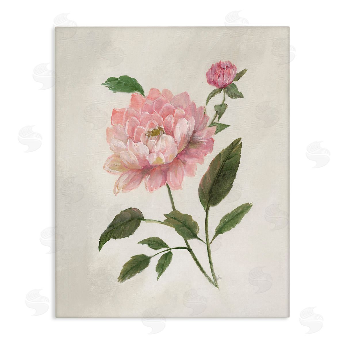 Nan Rosie Rose Flower Study Canvas Wall Art Print