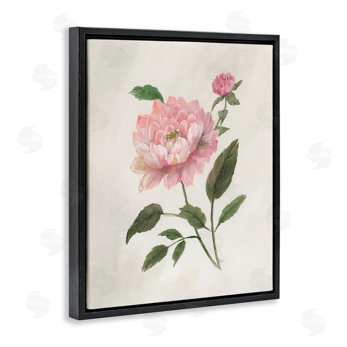 Nan Rosie Rose Flower Study Black Floating Frame Canvas Wall Art Print