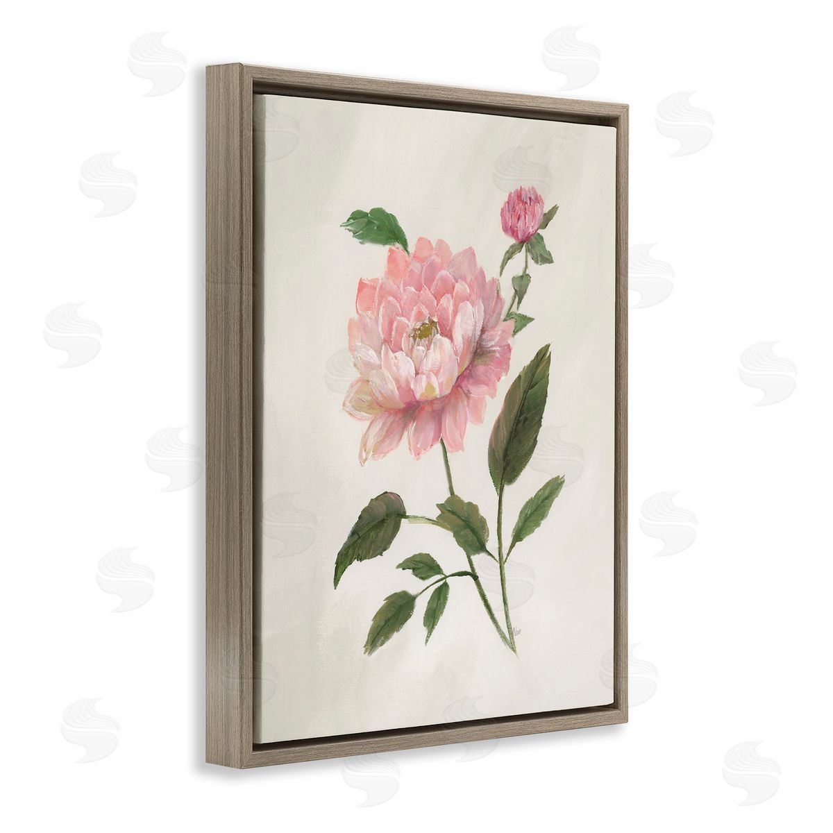 Nan Rosie Rose Flower Study Brown Floating Frame Canvas Art Print