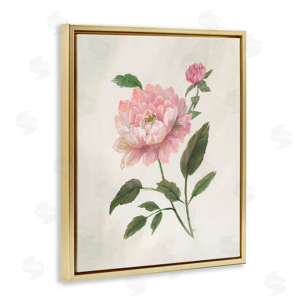 Nan Rosie Rose Flower Study Gold Floating Frame Canvas Art Print