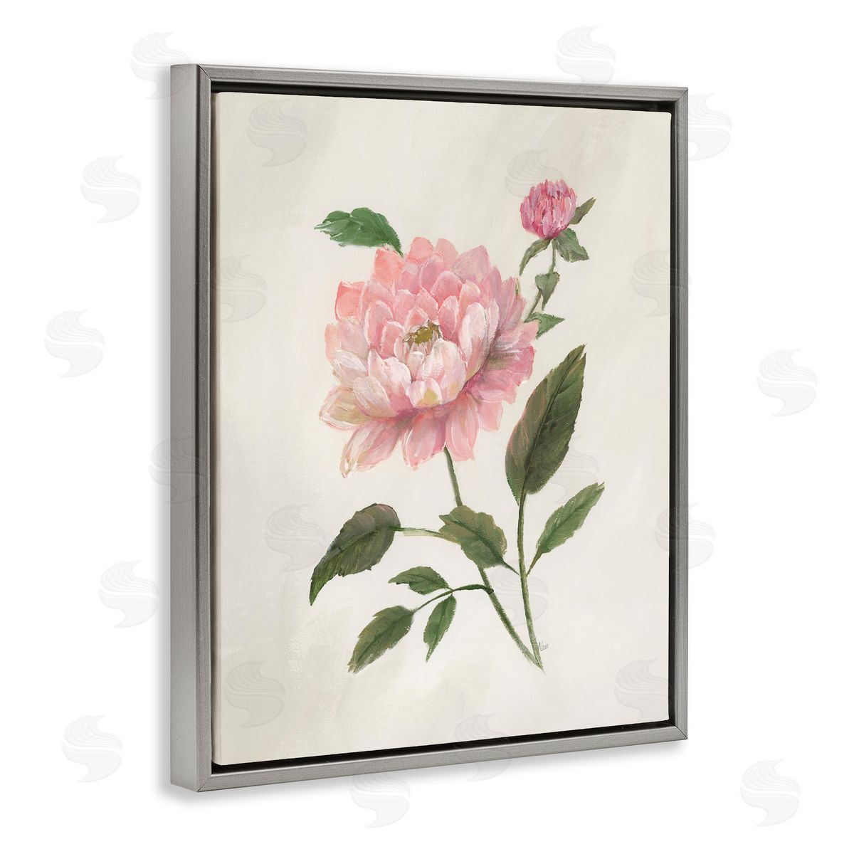 Nan Rosie Rose Flower Study Gray Floating Frame Canvas Art Print