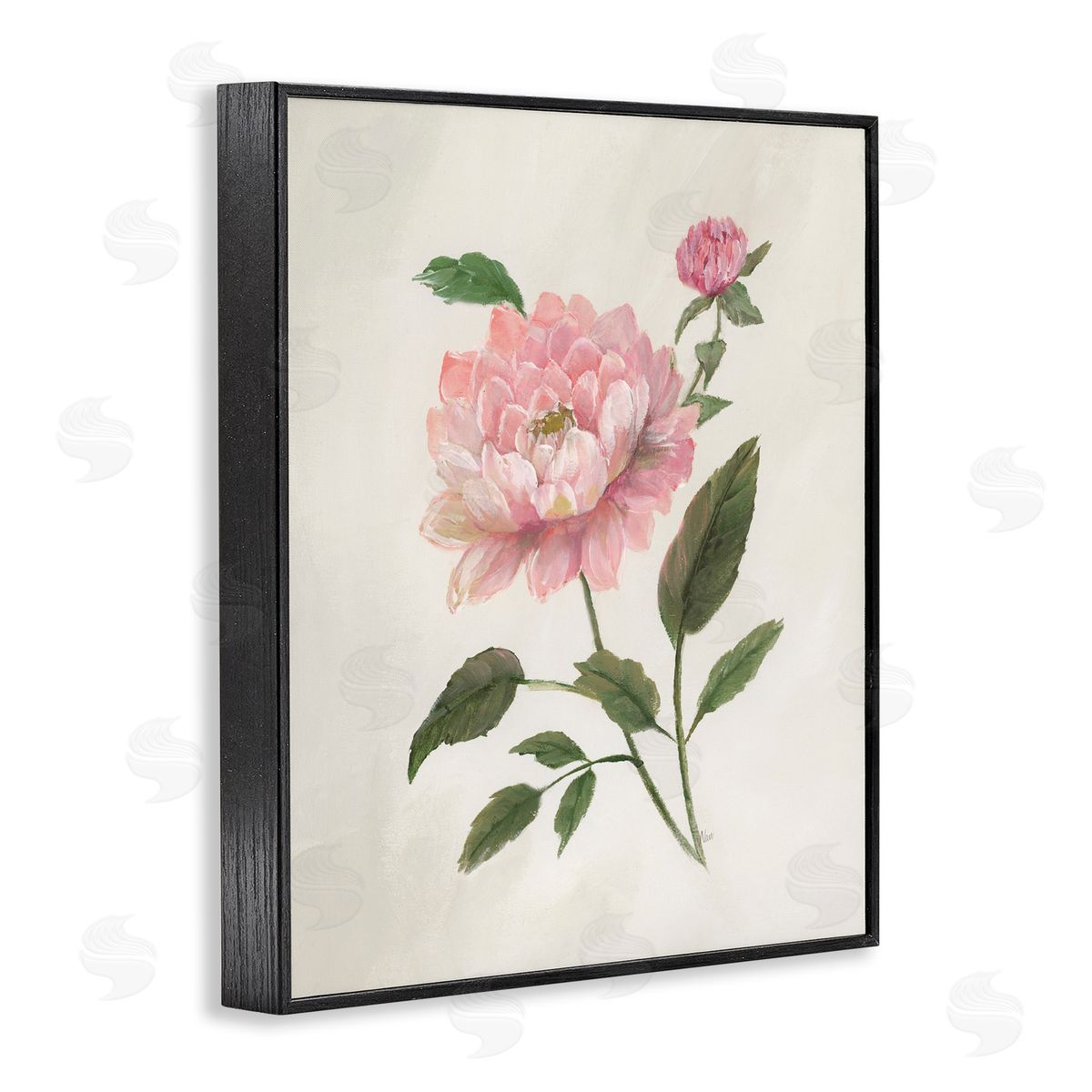 Nan Rosie Rose Flower Study Black Framed Giclee Art Print