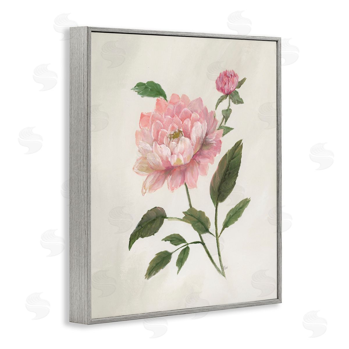 Nan Rosie Rose Flower Study Gray Framed Giclee Art Print