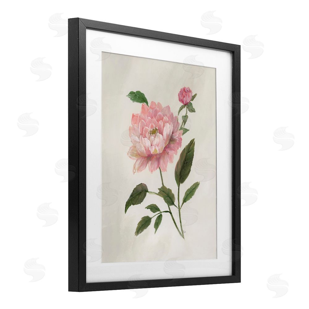 Nan Rosie Rose Flower Study Black Framed Print Under Glass Art