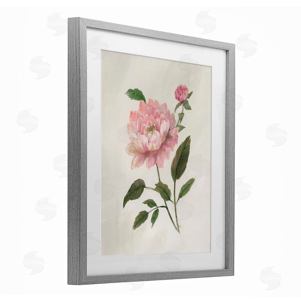 Nan Rosie Rose Flower Study Gray Framed Print Under Glass Art