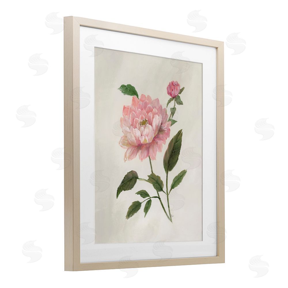 Nan Rosie Rose Flower Study Birch Framed Print Under Glass Art