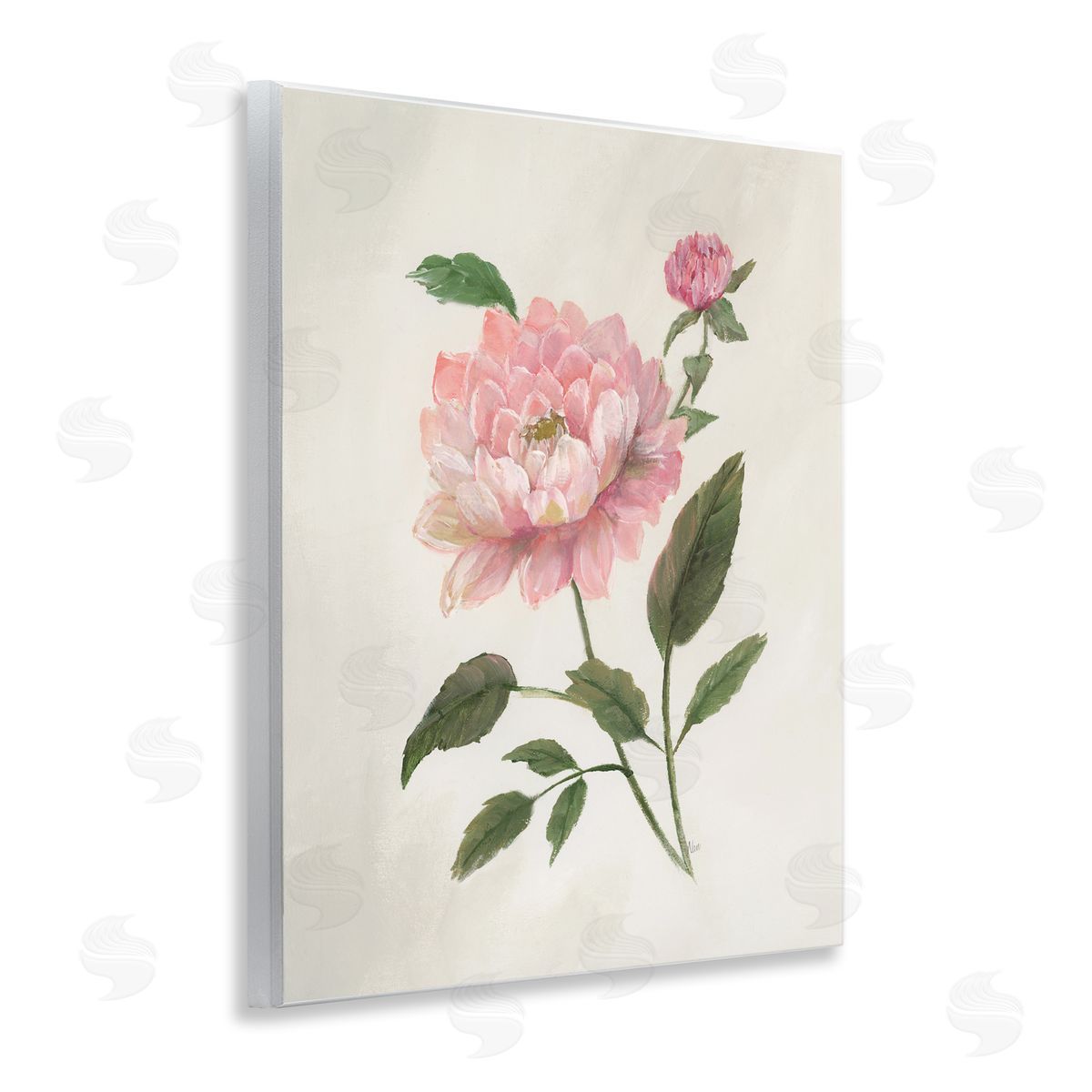 Nan Rosie Rose Flower Study Wall Plaque Art Print