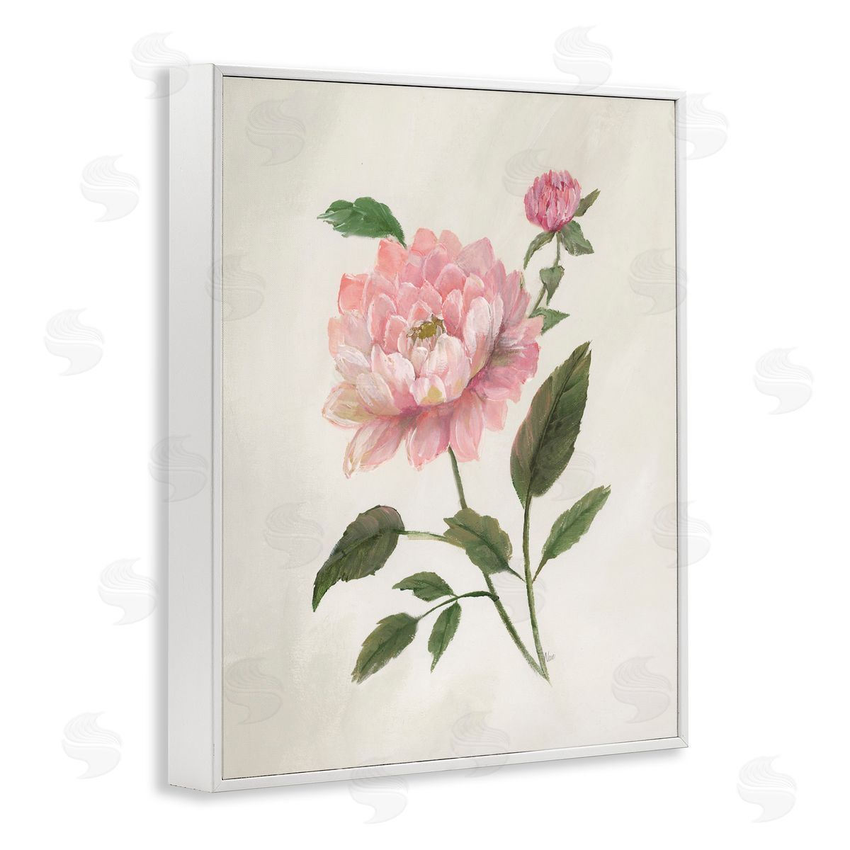 Nan Rosie Rose Flower Study White Frame Giclee Art Print
