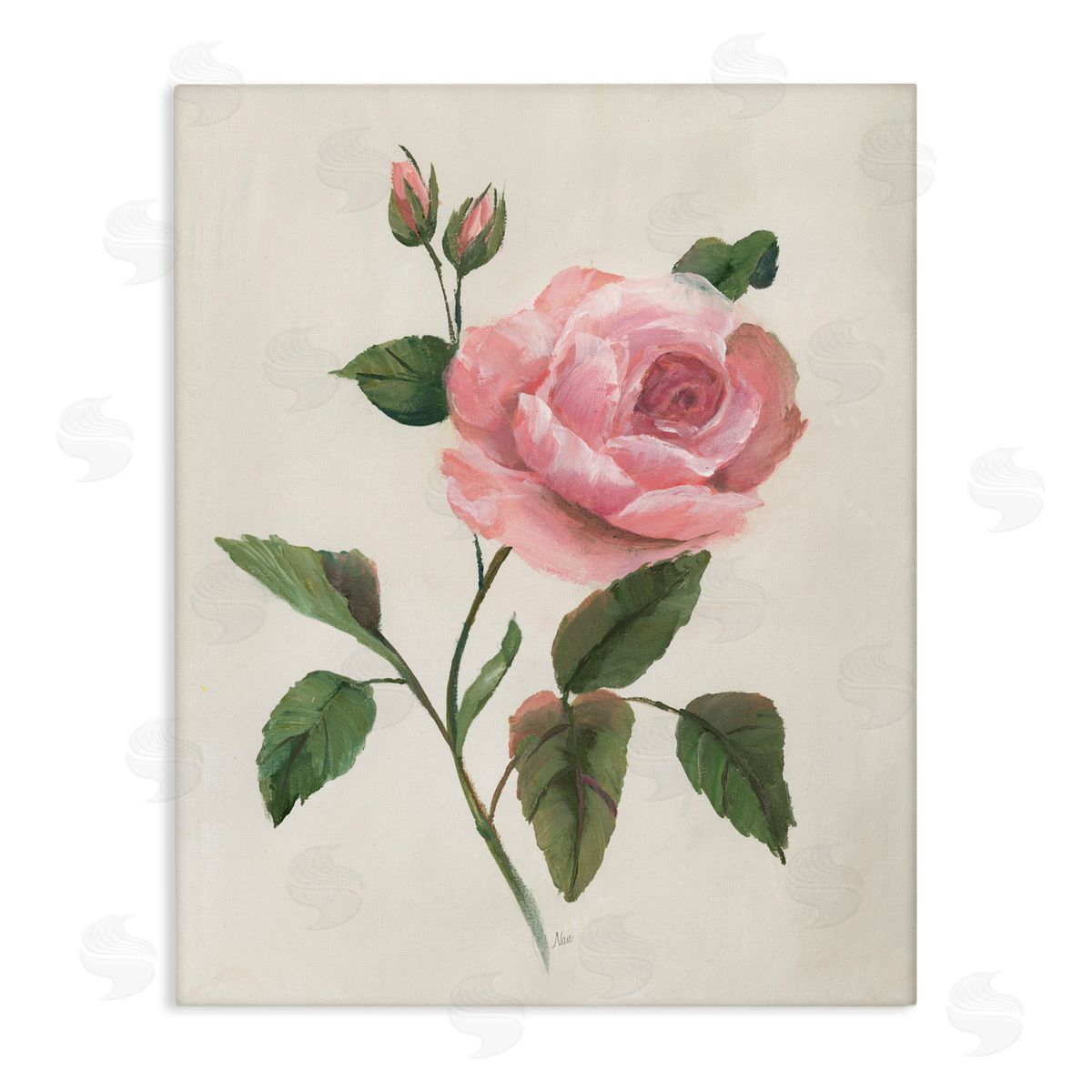 Nan Rosie Rose Floral Study Canvas Wall Art Print