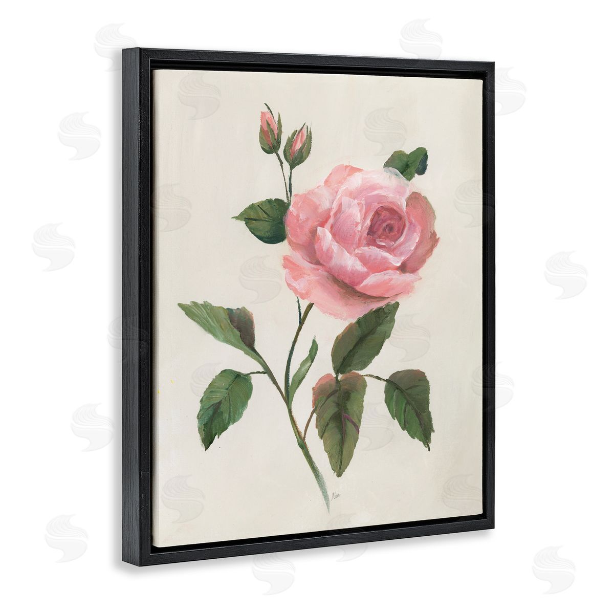 Nan Rosie Rose Floral Study Black Floating Frame Canvas Wall Art Print