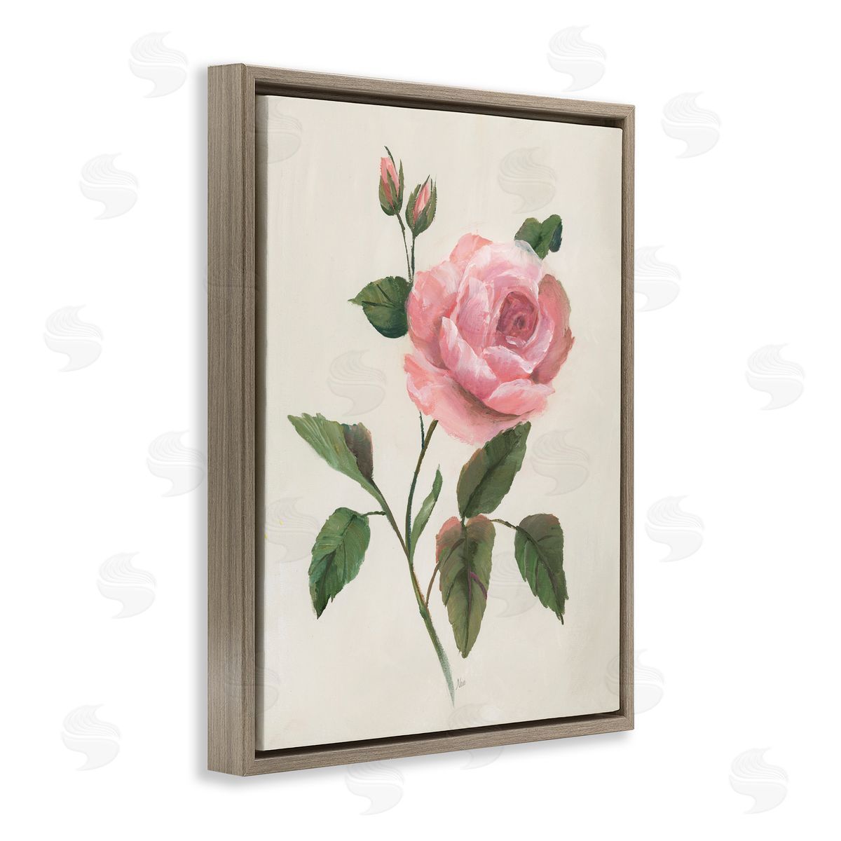 Nan Rosie Rose Floral Study Brown Floating Frame Canvas Art Print