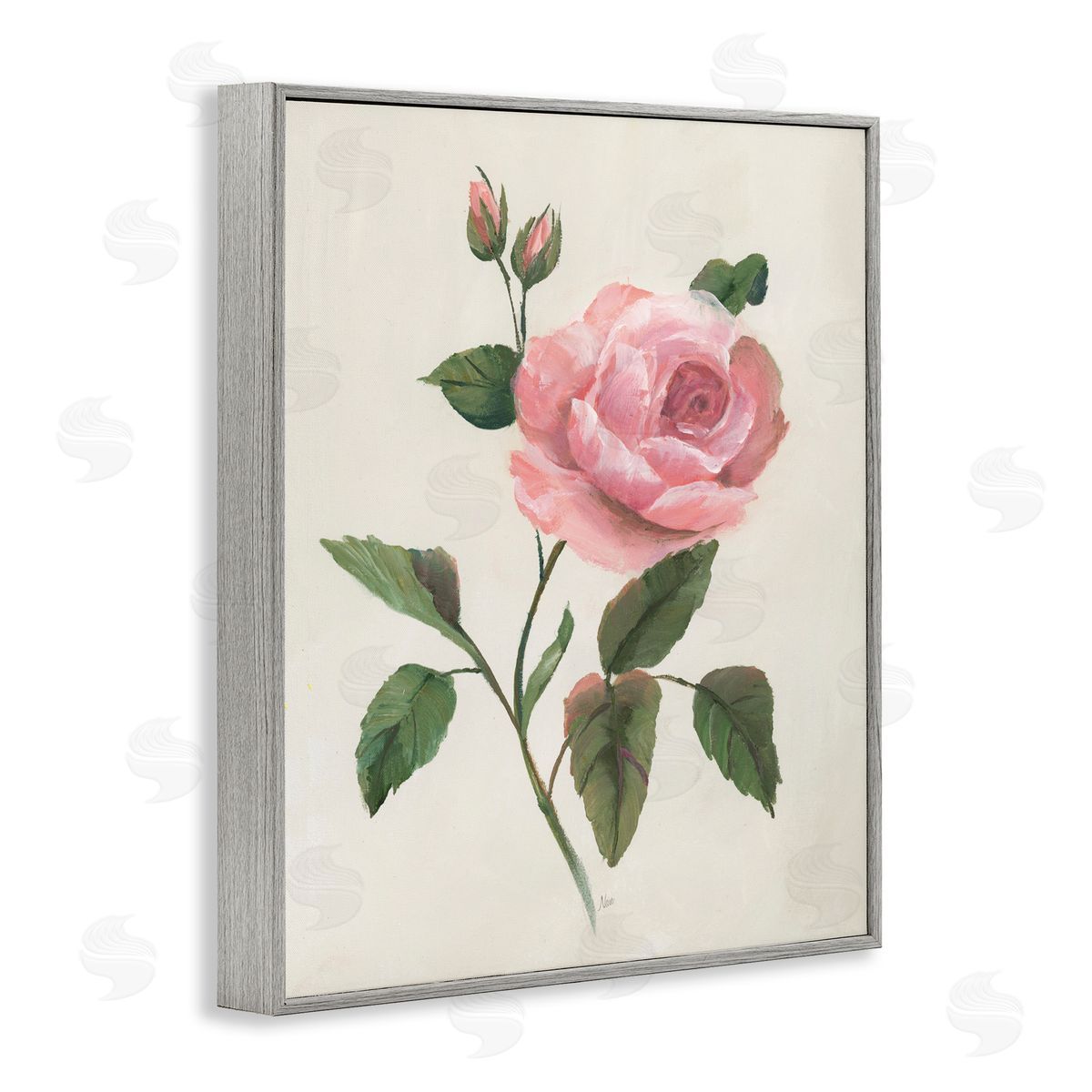 Nan Rosie Rose Floral Study Gray Framed Giclee Art Print