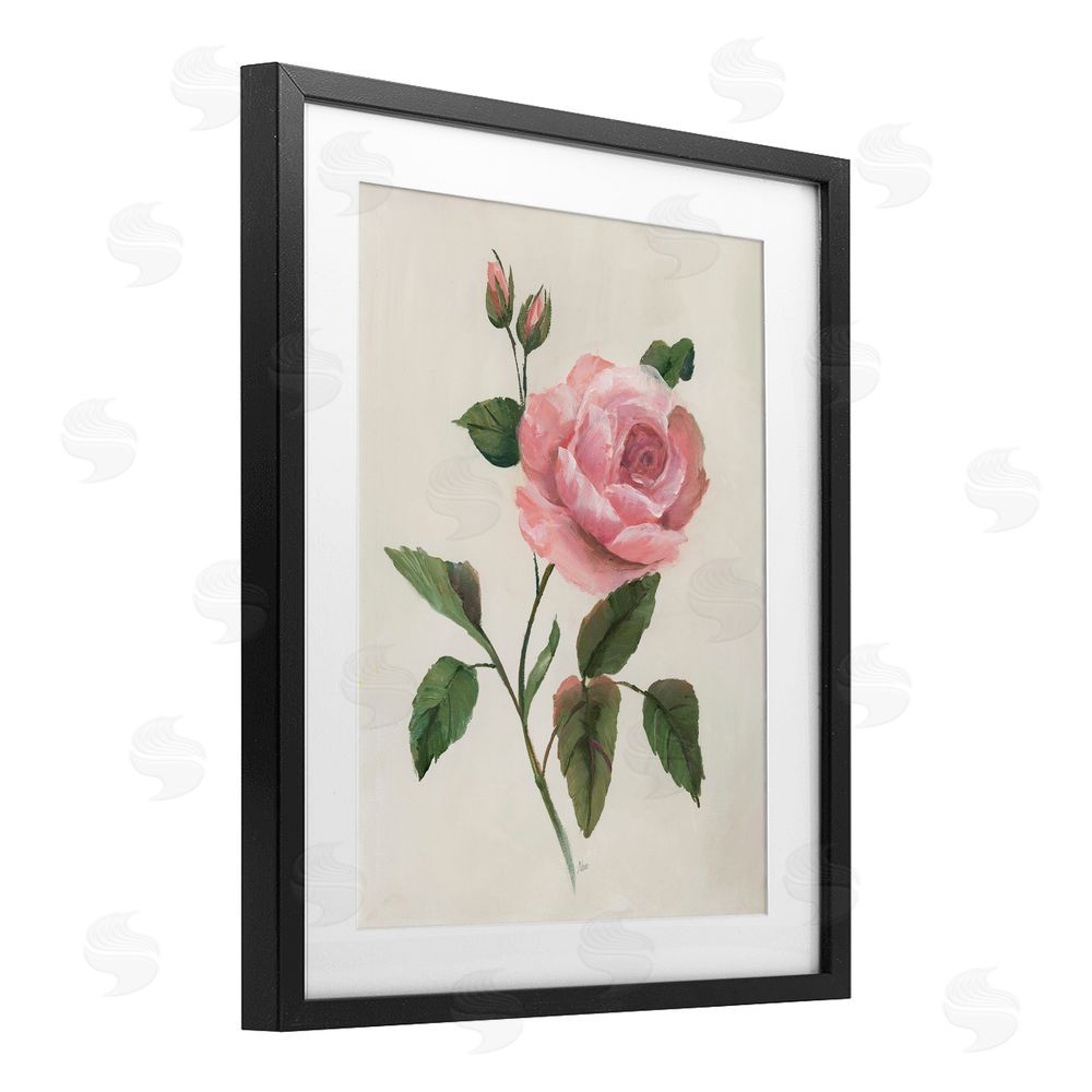 Nan Rosie Rose Floral Study Black Framed Print Under Glass Art